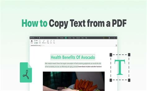 Image result for How to Copy Text Off a PDF