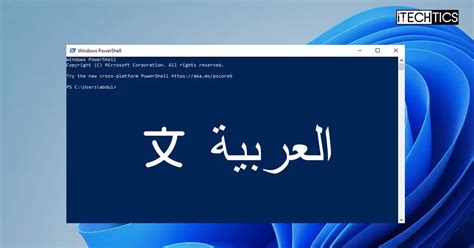 Image result for Install Windows 11 Language Pack