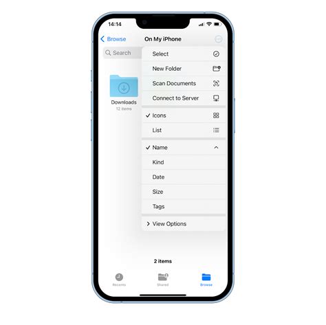 Image result for iPhone Library Folder