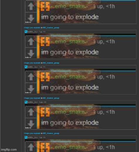 Exploding Pigions Meme に対する画像結果