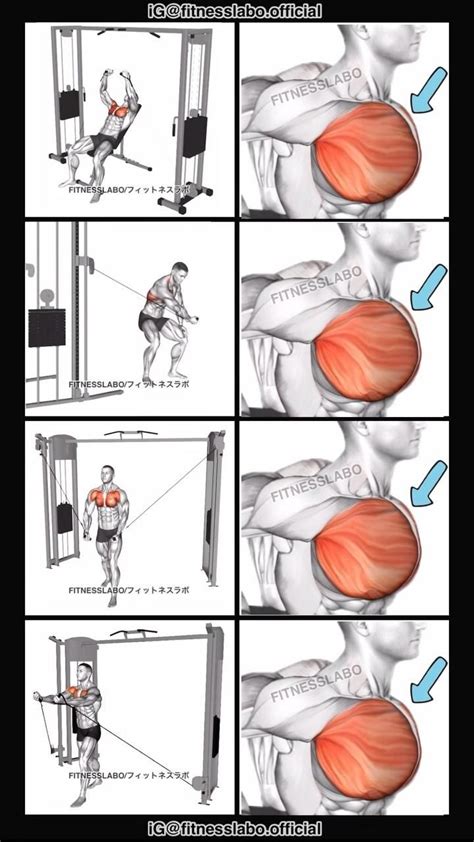 Image result for Bodybuilding Cable Exercises