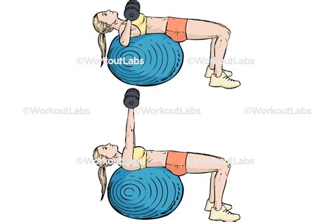 Image result for Swiss Ball Butterfly Exercise
