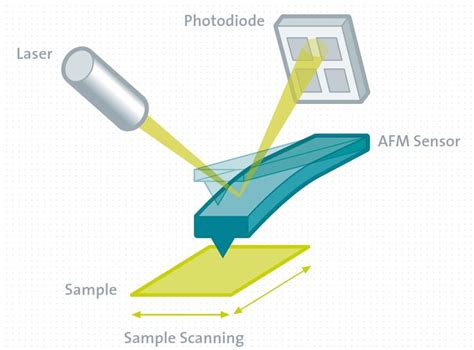 Toradh íomhá ar Raman Spectrometer Atomic Force Microscope
