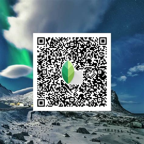 Image result for Snapseed QR Code