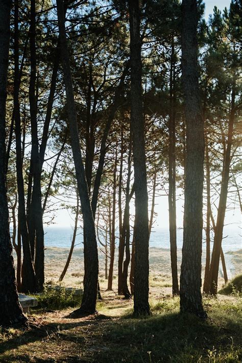 Copyright Free Computer Images に対する画像結果