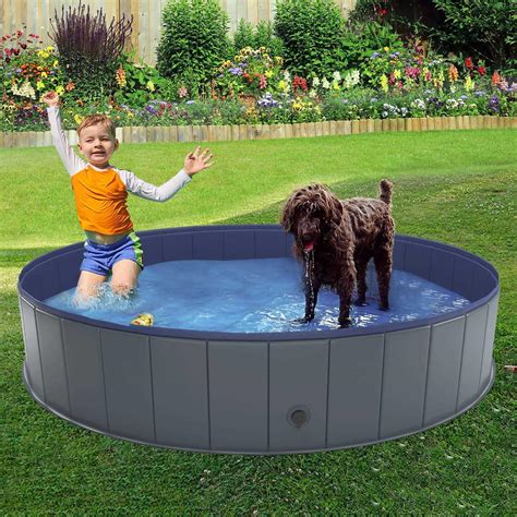 Image result for Plastic Dog Swimming Pool