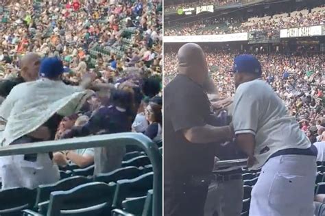 Image result for Mariners Fight