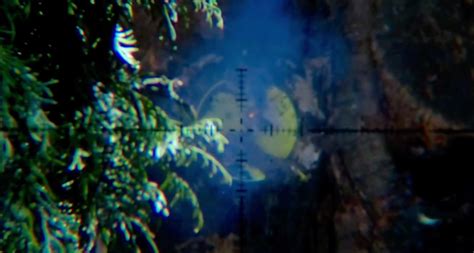 Image result for Exploding Pellets 22 Caliber