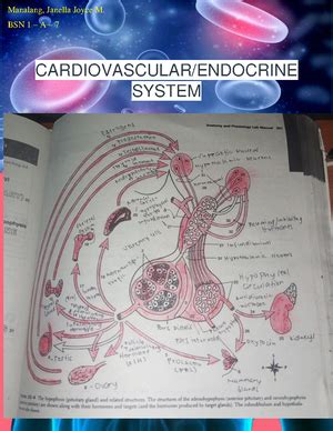 Curriculum Guide Understanding Culture എന്നതിനുള്ള ഇമേജ് ഫലം