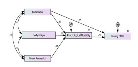 Toradh íomhá ar Model Chi-Square