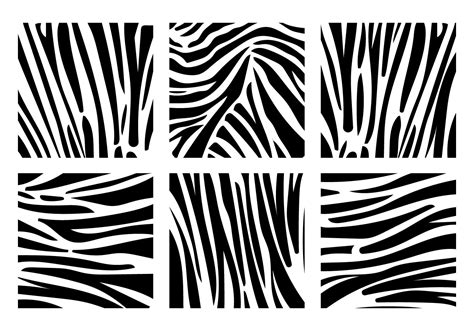 Image result for Zebra Design No Background