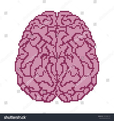 Image result for 8-Bit Brain