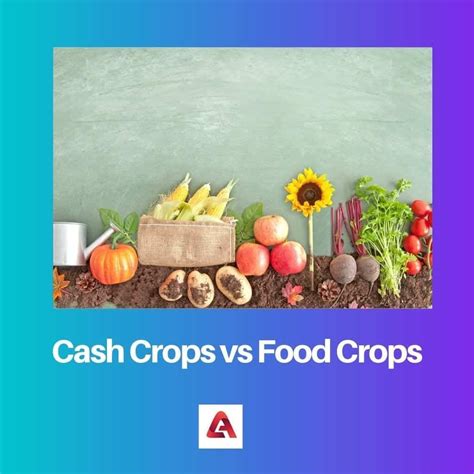 Image result for Examples of Cash Crops