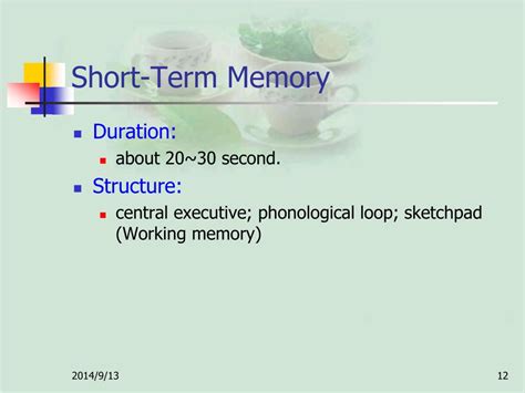 Image result for Short-Term Memory Meaning