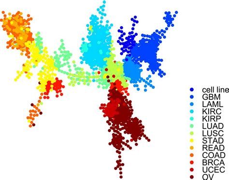 Image result for Visualisation Tool for Tree Structure Databases