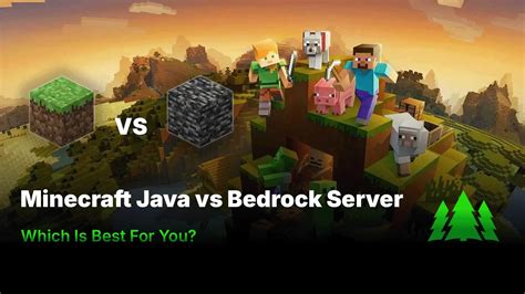 Toradh íomhá ar What Is Minecraft Java Available On