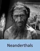 Image result for Neanderthal Evolution Chart
