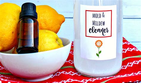 Homemade Mold Cleaner Recipes に対する画像結果