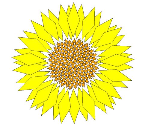 Image result for Drawing Flower Using Python Turtle