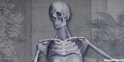 Image result for Anatomisch Museum Leiden