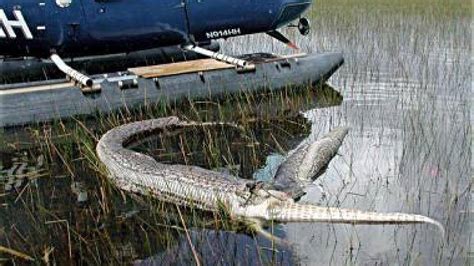 Python Frisst ಗಾಗಿ ಇಮೇಜ್ ಫಲಿತಾಂಶ