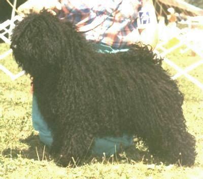 Image result for Commodore 64 Joystick