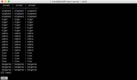 Image result for SQL Animal Create Table with Data