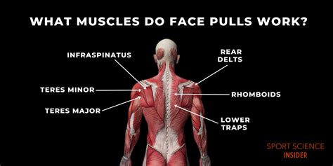 Image result for How to Work Out Face Muscles