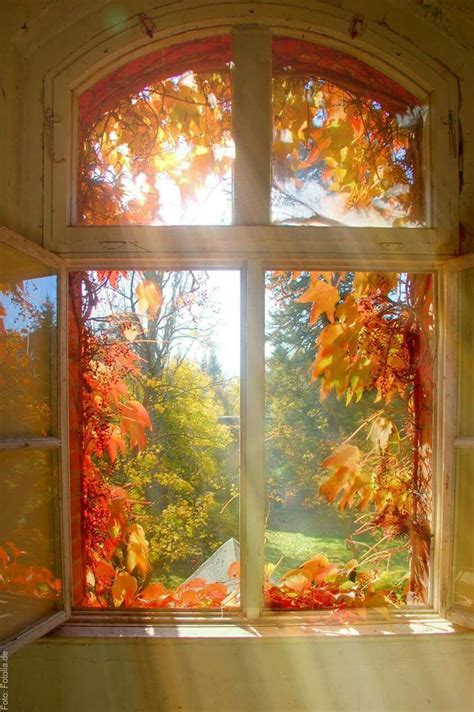 Image result for Autumn Window View