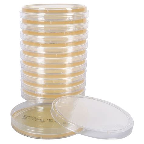 Image result for TSA Plate Agar Preparation