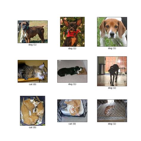 Image result for Pets Classification Dataset