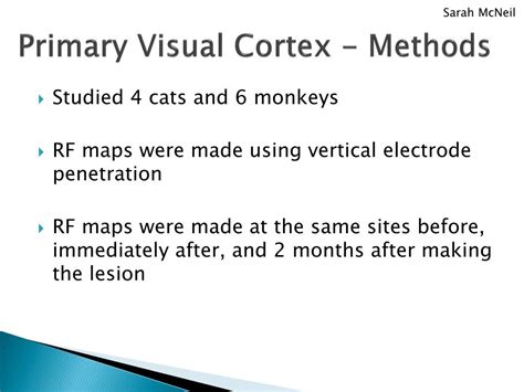 Receptive Field Primary Visual Cortex に対する画像結果