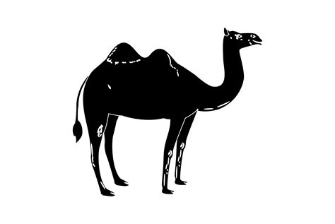 Toradh íomhá ar Solid Color Graphics