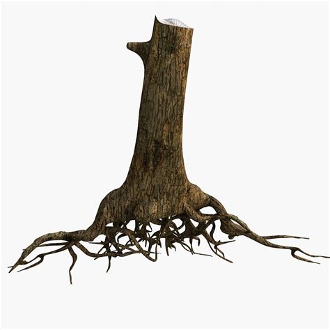 Image result for 3D Tree Plus Roots