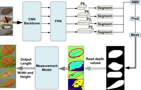 Afbeeldingsresultaten voor Feature Extraction Using CNN and Fpn