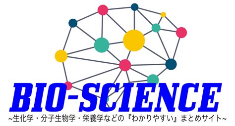 Microarray DNA Sonden に対する画像結果