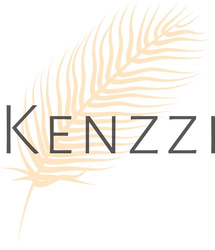 Toradh íomhá ar How to Use Kenzzi