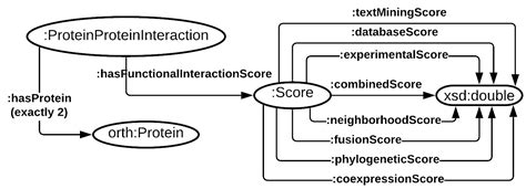 What Is String Database に対する画像結果