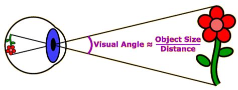 Image result for Visual Angle of Human Eye