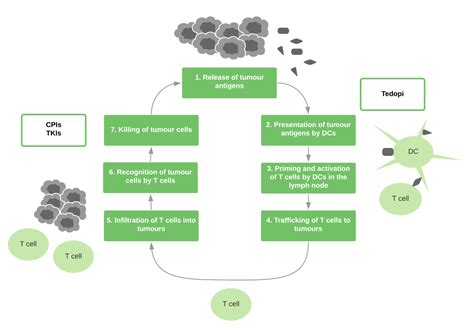 Image result for Ose Character Sheet Booklet