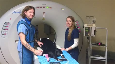 Vet Tech with Lab Mouse に対する画像結果