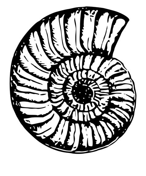 Engineering Drawing Shell に対する画像結果