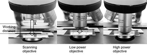Toradh íomhá ar Slide Moving Knobs Microscope