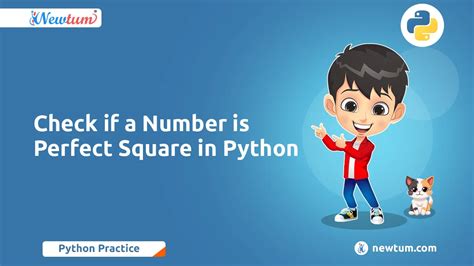 Image result for Number Check in Python