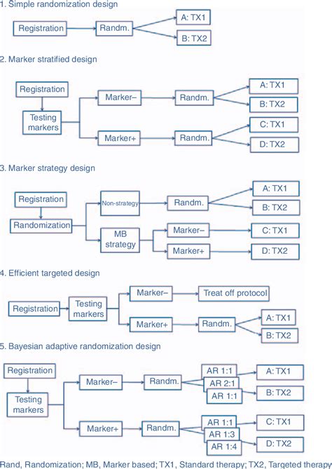 Randomization Designs に対する画像結果