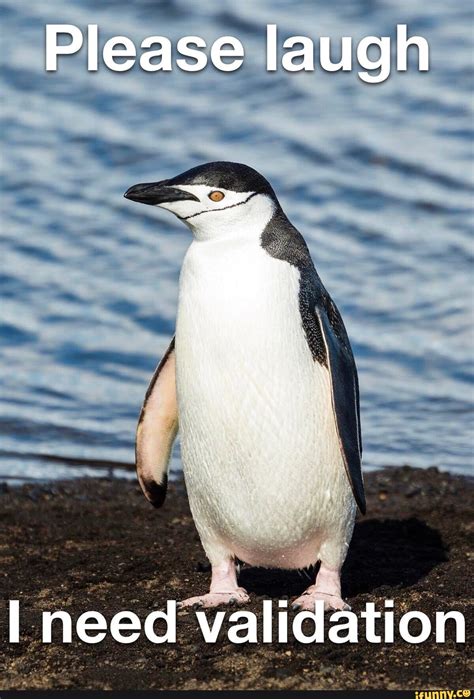 Image result for Validation Engineer Meme