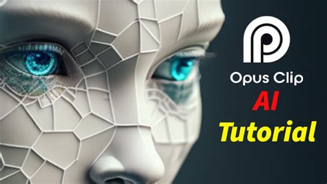 Opus Algorithm に対する画像結果