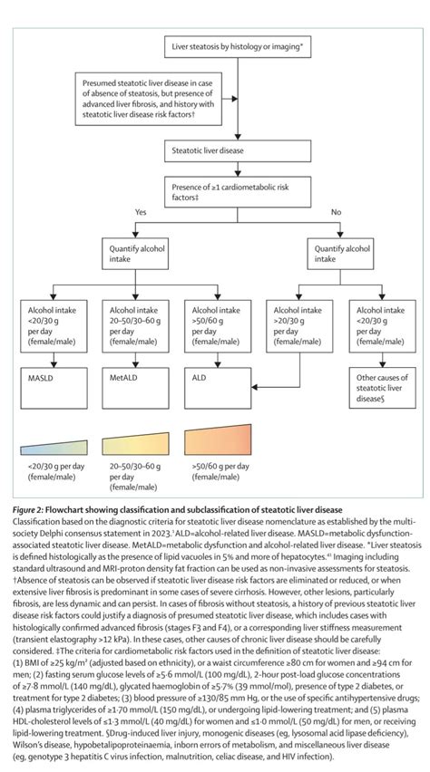 Image result for MD Classification Flowchart