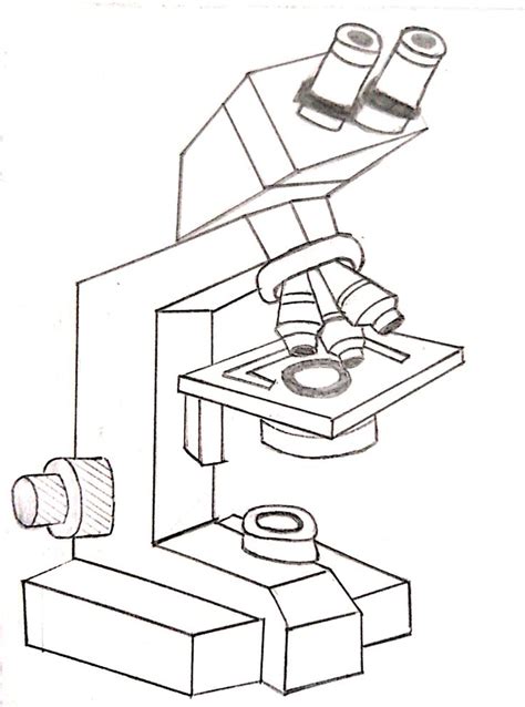 Image result for Microscope Drawing Pinterest