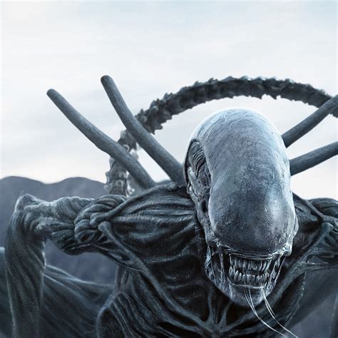 Image result for Alien Covenant Pale Xenomorph